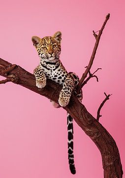 Baby Luipaard van Liv Jongman