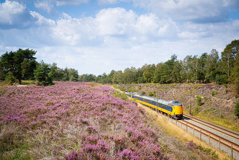 Een Intercity trein langs de heide bij Halte Assel van Stefan Verkerk