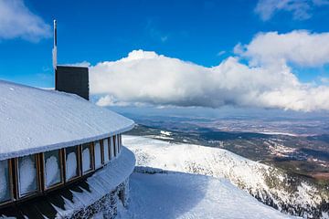 Winter with snow in the Giant Mountains, Czech Republic van Rico Ködder