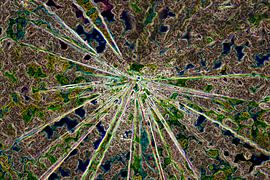 Groene ster by Jolanta Mayerberg