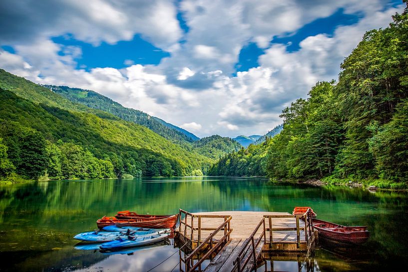 Biogradska Gora van Antwan Janssen