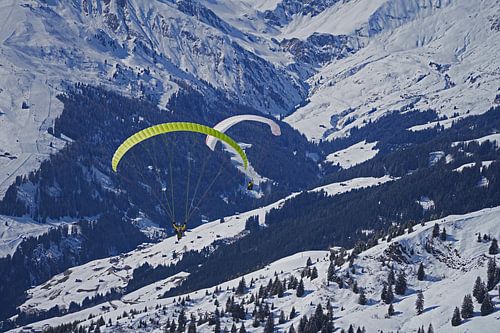 Paragliding in de Tuxer Alpen