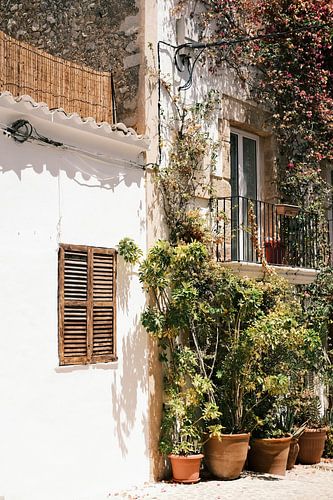 Bohemian straatje in ibiza stad