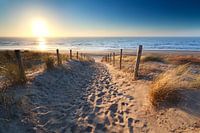 Gold Beach