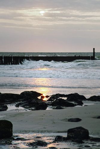 Golden Reflections on a Tranquil Shoreline