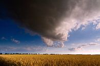 Nederlands Gronings graanlandschap met wolkenlucht van Mark Scheper thumbnail