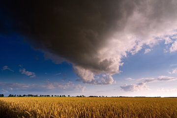 Nederlands Gronings graanlandschap met wolkenlucht