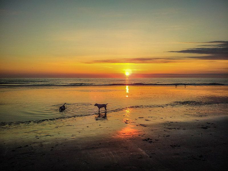 Zonsondergang by Annemarie Welp