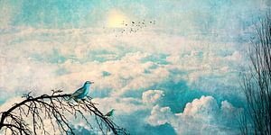 HEAVENLY BIRDS III-B2-Panorama sur Pia Schneider
