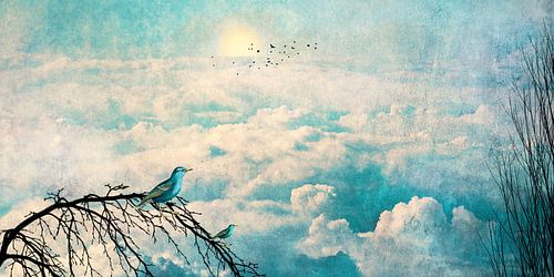 HEAVENLY BIRDS III-B2 panorama