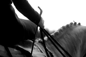 Sidesaddle Dublin Horse show von Wybrich Warns