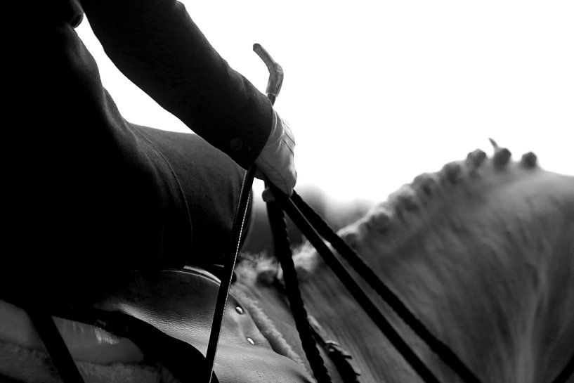 Sidesaddle Dublin Horse show by Wybrich Warns