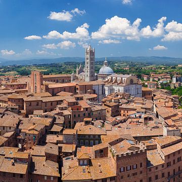 Piazza del Campo, Kathedraal Santa Maria Assunta, Siena, Toscane, Italië van Markus Lange