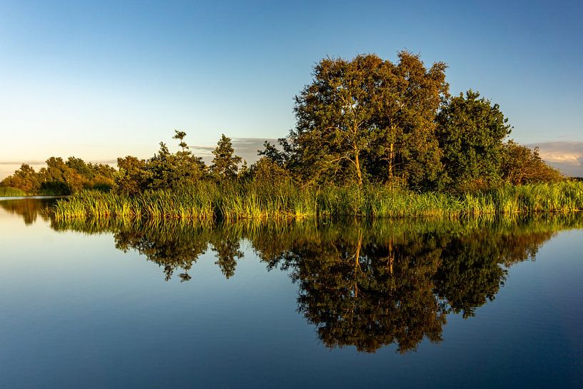 Symmetrical photo of trees, plants and reeds on the waterfront reflecting in the water in Giethoorn, by Dafne Vos