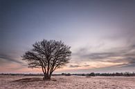 Zonsondergang over de Kale Duinen - Sunset at Kale Duinen van Jurjen Veerman thumbnail