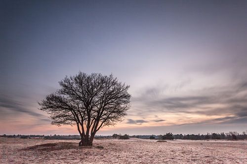 Sunset over the Bald Dunes - Sunset at Bald Dunes by Jurjen Veerman