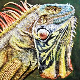 Iguane vert d'Amazonie