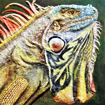 Amazon Green Iguana van Floris Betrouw