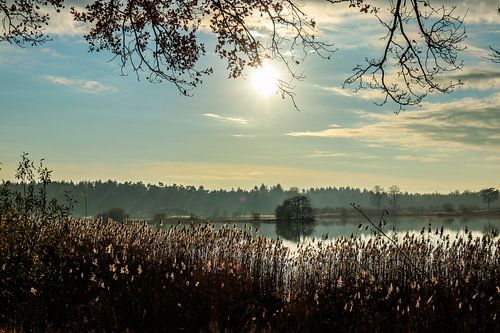 Wintelre, Netherlands
