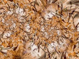 tourbillon de feuilles sur Klaartje Majoor