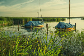 Boot am See