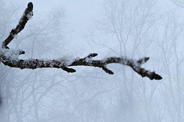 Abstracte fotografie | Minimalisme | Winterlandschap IV