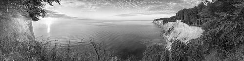 Landschap bij de krijtrotsen op Rügen. Zwart-wit beeld.
