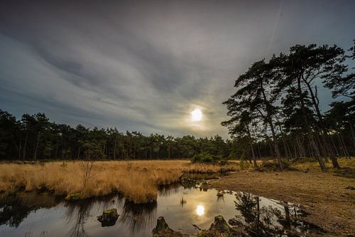 Zonsondergang op de Kalmthoutseheide