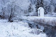 Winterlandschaft am Hechtgraben in Rostock Gehlsdorf von Rico Ködder Miniaturansicht