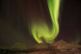 Noorderlicht by Charlotte Bakker