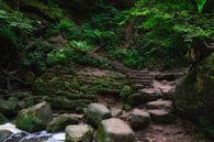 Schiessentümpel Stairs 1 by Kirsten Scholten thumbnail