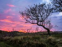 Avondrood bij Lies op Terschelling