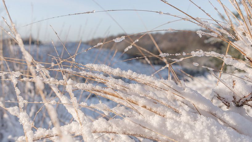 The first snow in the morning by Aandenken in Beeld