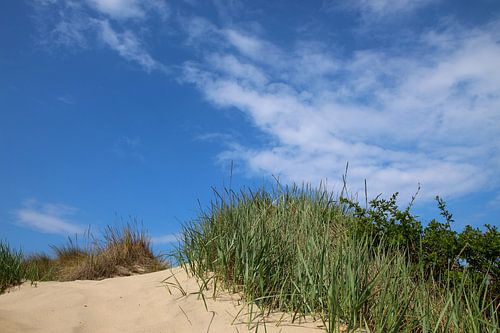Dunes