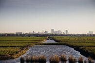 Rotterdam skyline van Jasper Verolme thumbnail
