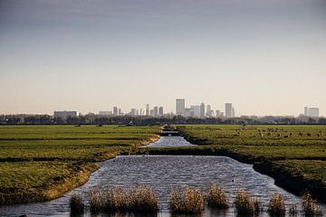 Rotterdamer Skyline von Jasper Verolme