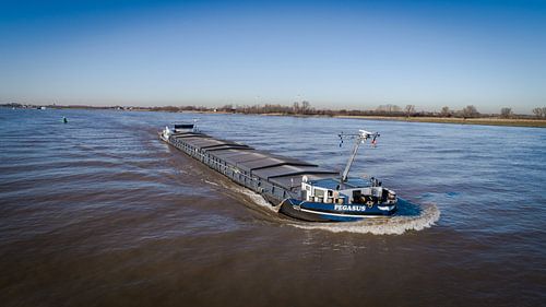 Cargo à moteur Pegasus