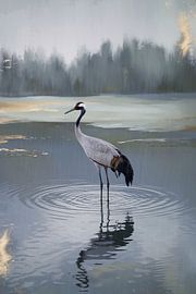 Eleganter Kranich im Wasser von Imperial Art House