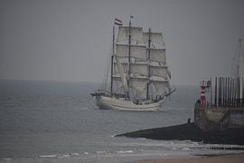 Tallship by Sjaak Verherbrugge