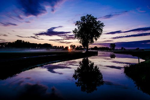 Weerspiegeling boom horizontaal