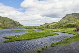 Owengarriff Fluss Killarney (Irland) von Marcel Kerdijk