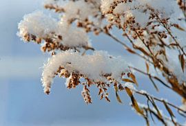 winter 3 van Marieke EWA