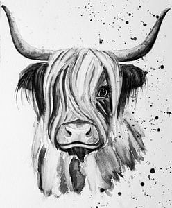 Belle aquarelle en noir et blanc d'un Highlander écossais à cornes
