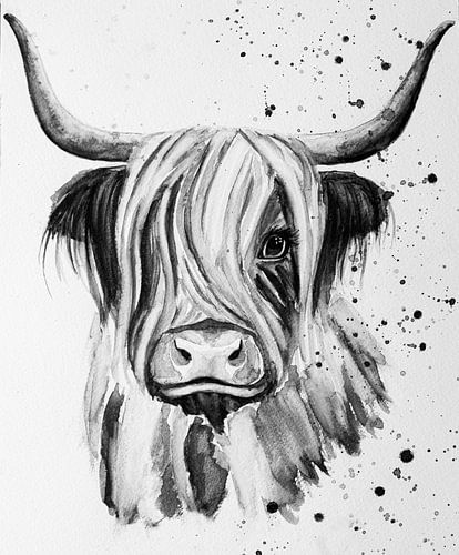 Belle aquarelle en noir et blanc d'un Highlander écossais à cornes