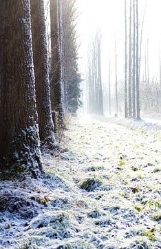 de witte weg van Laura den Otter