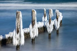 Icy groynes by Tilo Grellmann