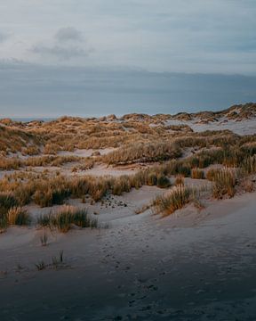 The dunes of Terschelling van Tycho Walgien