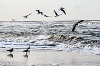 Hunting high and low….