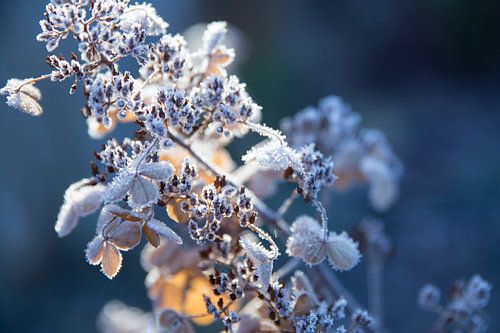 Winter is approaching