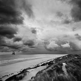 Ameland strand oerd zwart/wit van . Groningenart